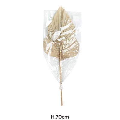Feuilles décoratives de palmier sechées XL H.70cm, 2 pièces JBY creation