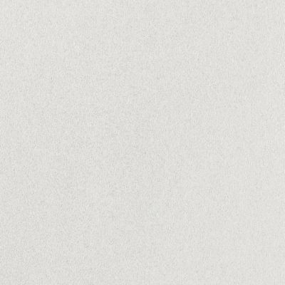 Fibre de verre lisse à peindre Diall 195g/m² L.15 m (Vendu au rouleau)