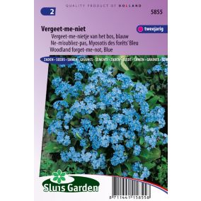 Ficoïde tricolore Magic Carpet mix - Graines De Fleurs Annuelles - Ca. 1 g
