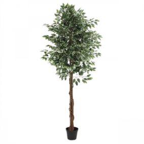 Ficus artificiel panaché 210cm