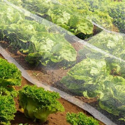 Filet anti insectes jardin 600x300 cm blanc maille fine 0,5 mm traité UV