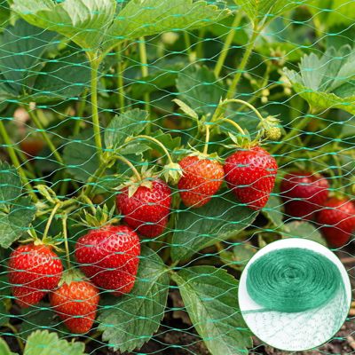 Filet anti-oiseaux vert, 4 x 6 m, filet de protection pour plantes, filets anti-oiseaux pour bassins, et arbres fruitiers