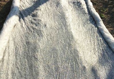 Filet climatique 38gr/m² 2m x 10m Blanc