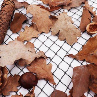 Filet de bassin Aquagart®, 5m x 10m, vert foncé, à mailles particulièrement fines : maillage 12mm x 12mm, filet de feuillage, filet de couverture de bassin, filet anti-oiseaux, filet de rangée robuste