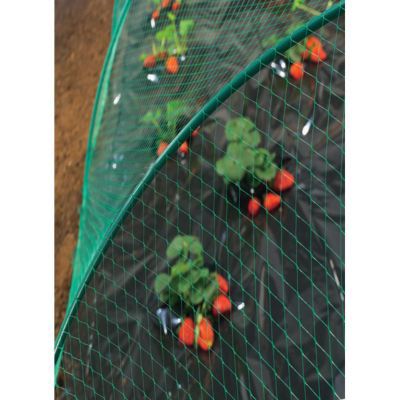 Filet De Protection Oiseau Nortene 5 X 5 M Castorama