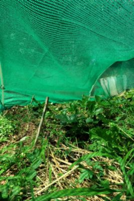 Filet ombrage anti-insecte et anti-grêle 1,4 x 5 m