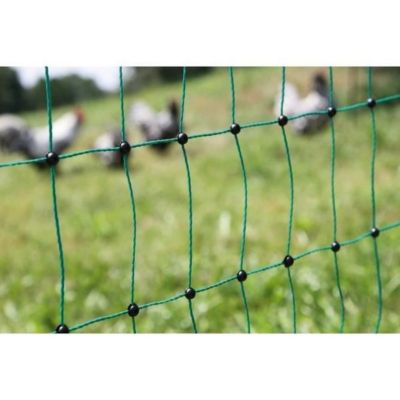 Filet poule non électrifiable H106 cm Longueur 50 m double