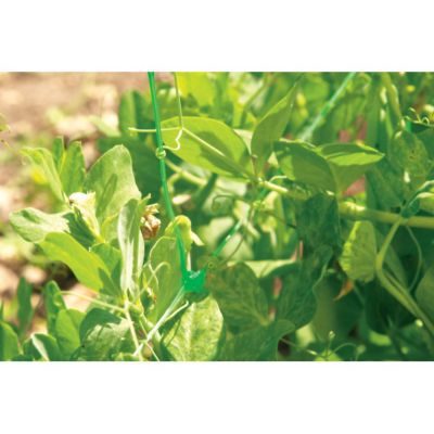 Windhager Filet à Ramer 2 X 5 M Pour Plantes Grimpantes
