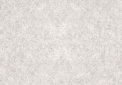 Film occultant statique pour vitre d-c-fix® Premium Papier de riz 1.5m x 0.45m