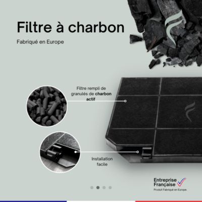 Filtre à Charbon Hotte Electrolux EFB90566DX