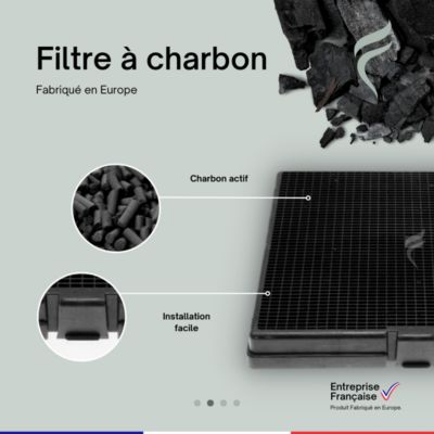 Filtre à Charbon pour Hotte Brandt - 77X9377, AH4063U - 238x225x30mm