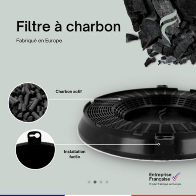 Filtre à Charbon pour Hotte Candy - KFC6907, 35602050 - 236mm