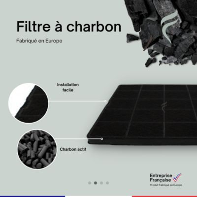 Filtre à Charbon pour Hotte Electrolux - ECFB01, 9029798767 - 242x195x12mm