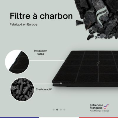 Filtre à Charbon pour Hotte Faure - ECFB01, 9029798767 - 242x195x12mm