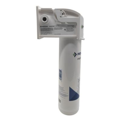 Filtre Plus Pentair Freshpoint F1000-b1b à 1 étape