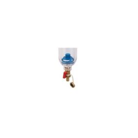 Filtre tête laiton F67 3/4 de pouce