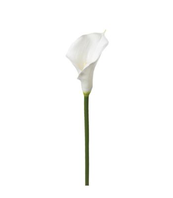 Fleur artificielle Tige Arum blanc H 75 cm