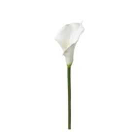 Fleur artificielle Tige Arum blanc H 75 cm