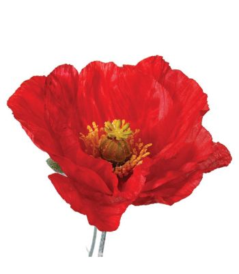 Fleur artificielle Tige Coquelicot H 70 cm