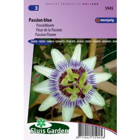Fleur de la Passion, Passion Bleu - Graines De Fleurs Vivaces - Ca. 0,4 g