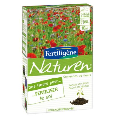 Fleurs pour fertiliser le sol