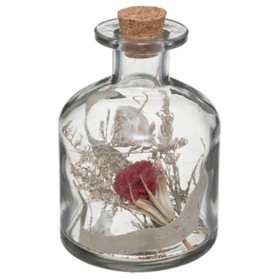 Fleurs Séchées En Bouteille Atmosphera - Décoration Romantique, Bocal Verre Et Liège - 6