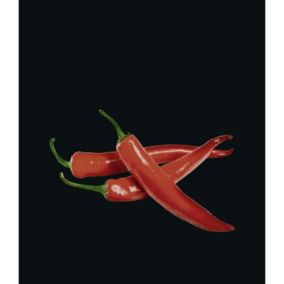 Fond de hotte Peperoni - L. 60 x l. 70 cm - Noir
