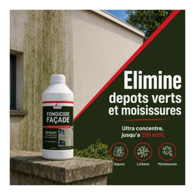 Fongicide  Anti dépôt vert concentré pour murs façade.  - 1 L (jusqu'à 250 m²) - ARCANE INDUSTRIES