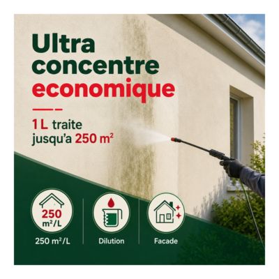 Fongicide  Anti dépôt vert concentré pour murs façade.  - 1 L (jusqu'à 250 m²) - ARCANE INDUSTRIES