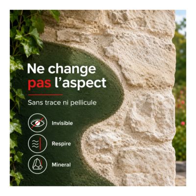 Fongicide  Anti dépôt vert concentré pour murs façade.  - 1 L (jusqu'à 250 m²) - ARCANE INDUSTRIES