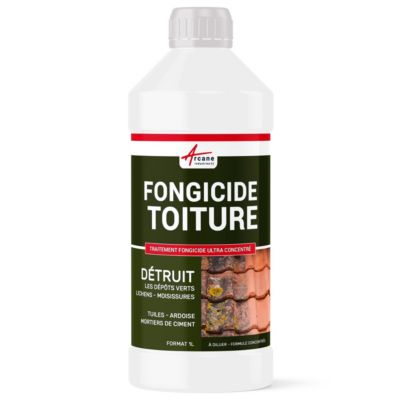 Fongicide Anti dépôt vert concentré pour toiture - ANTI-DÉPÔT VERT TOITURE  - 1 L  - ARCANE INDUSTRIES