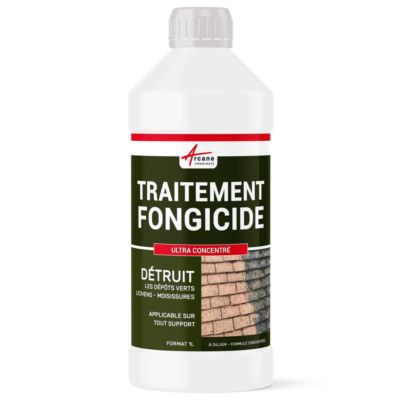 Fongicide - Anti dépot vert - Formule ULTRA CONCENTRE  - 1 L (jusqu'à 250 m²) - ARCANE INDUSTRIES