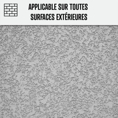 Fongicide - Anti dépot vert - Formule ULTRA CONCENTRE  - 5 L (5 x 1L) - ARCANE INDUSTRIES