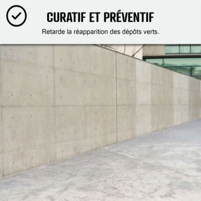 Fongicide - Anti dépot vert - Formule ULTRA CONCENTRE  - 5 L (5 x 1L) - ARCANE INDUSTRIES