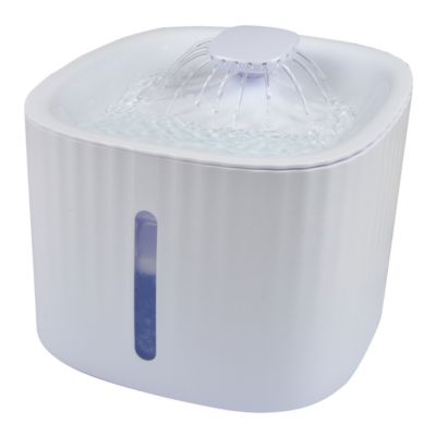 Fontaine à Eau pour Animaux "Expert" 3L Blanc