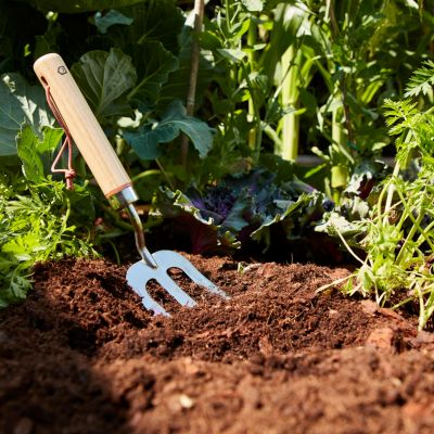 Fourche à main Durum GoodHome 31 x 7,6 cm