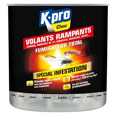 Fumigateur spécial infestation volants rampants Kapo choc 400 ml