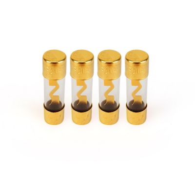 Fusible en verre AGU - 30 AMP - Cougar C.ASS F53