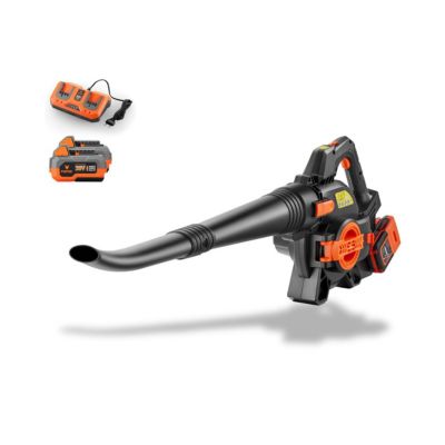 FUXTEC Kit souffleur/aspirateur de feuilles à batterie 40V FX-E2LBSSET