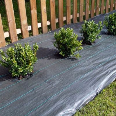 Tissu Anti-Mauvaises Herbes 2x10 M – Perméable, Résistant Aux UV, Pour Massifs, Allées, Terrasse, Jardin - 4