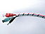 Gaine range-câbles en spirale Diall transparente ø20 mm x 2 m