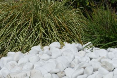 Galet Blanc Brillant 40-60 sac 20 Kg