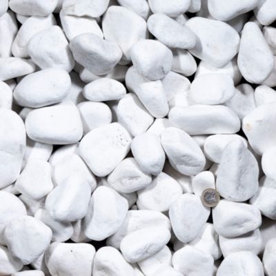 Galet Blanc Pur Qualité Supérieure 40-60 mm - Pack De 2 M² (10 Sacs soit 200kg) - RO'MA Nature