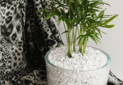 Galet décoratif blanc carrare 4-8 Natur Déco 8.4kg