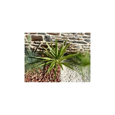 Galet Rouge 12-24 Pack de 25 M² - 50 sacs - 1000 kg