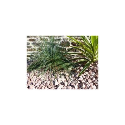 Galet Rouge 12-24 Pack de 25 M² - 50 sacs - 1000 kg