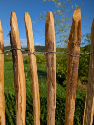 Ganivelle fendue châtaignier H1,50m espacement des piquets 4/5 cm rouleau de 5 ml