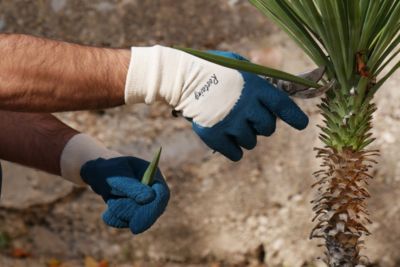 Gants de jardin spécial plantation Taille 7 (S)