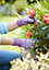 Gants de jardinage enduit latex lavande Verve - Taille 7 (S)