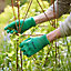 Gants de jardinage enduit latex vert Verve - Taille 8 (M)